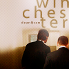 colls: (SPN winchesters)