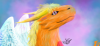 dreamdragon: A orange furred dragon with white feathered wings and sungold horns, soft yellow mane looking up towards the righ side. In a gentle, dreamy abstract cloudy background filled with pink, purple and blues. (dream dragon)
