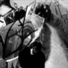 bloodygranuaile: (caligari pathway)