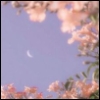 perchancetodreammods: (Default)