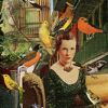 adore: (flock of birds)