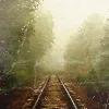 juniperberry: train tracks on a foggy morning (train tracks)