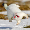 stoked2bstoat: (pic#15982867)