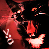 infiniteviking: A black-and-white cat yowling in anger. (2)
