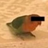 tds: picture of a bird in a jail cell, with a black bar over its eyes (Default)