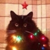 crowloft: (chrimbus)