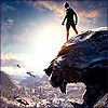 sunshine304: (MCU - Black Panther)