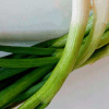 morescallion: A handful of bright green scallions over a white background. (green, onion, photo, plant, scallion)