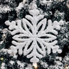 sparrow2000: (Snowflake 2023)