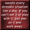 dauntless_heart: (handle stress like a dog)