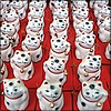phinnia: rows and rows of lucky waving cats (millions of nekos)