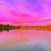 yellellow: (pic#16165525)