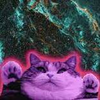 manytoads: A purple cat raising its paws in front of a teal-tinted picture of outer space (space cat)