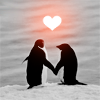kiwibikini: ([fruity_taste] Penguin love)