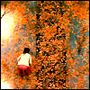 river_meimei: (autumn leaves)