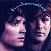 timberwolfoz: (Frodo Sam tender look)