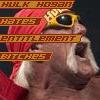 caltastic: entitlement bitches: Hulk Hogan hates them. (entitlement bitches)