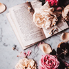 hopeonfire: (stock ϟ roses and a book)
