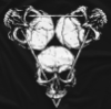 flowersforgraves: The logo of All Elite Wrestling trios team Death Triangle. Three skulls arranged in the shape of a triangle pointing downward. Each skull is one point of the triangle. The legs of a triangle superimposed over the skulls run through the eyesockets. (wrestling: death triangle)