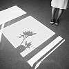 origamiflowers: (window light)