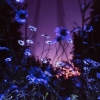 wispywillow: (flowers surreal)