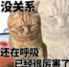 kinami: (Default)