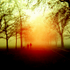 whiteink: (STOCK - mist)