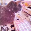 ai: skadi, my cat, sitting at the keyboard as if she's pondering what to respond to your message with (keyboard cat)