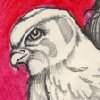 meirwen_1988: (girlhawk)