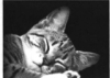 meirwen_1988: (tired)