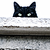 catmemes: (15)
