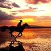 sholio: (Horseman)