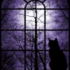 pushkin666: (HALLOWEEN - Silhouette Window Cat)