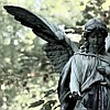 bradygirl_12: (angel (trees))