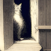 asenathwaite: (faceless cat 2)