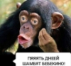 suhajh: (pic#16498304)