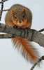 mmerriam: (Look)