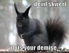 mmerriam: (Devil Skwerl)