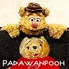 padawanpooh: Fozzy (Fozzy)