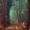 ashelterofpages: (autumn10)