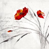sallymn: (flower 1)