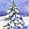 maraudersaffair: (Snowy Tree)