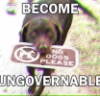 twodimensionaltrash: laborador retriever eating a sign saying "no dogs please" (pic#16625154)