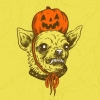 willow_weep: (Chihuahua)