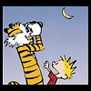nyctanthes: (calvin & hobbes moon)