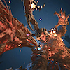 empyreancatastrophe: (placeholder until hi res screens come out) (this is fine :'))