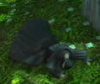 not_42: (Fallen)