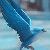 hermesbird: (10)