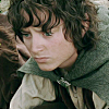 linz_lou: (LOTR - Frodo)