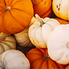 yarnofariadne: an assortment of small pumpkins in orange, white, and pale green (misc: tiny pumpkins)